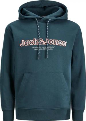 Jack & Jones Hoodie JORLAKEWOOD aus