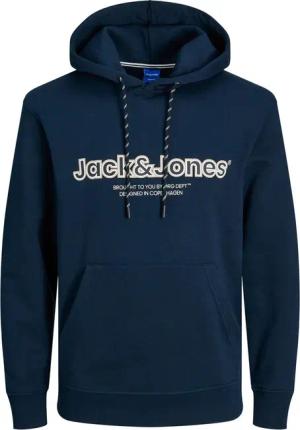 Jack & Jones Hoodie JORLAKEWOOD aus