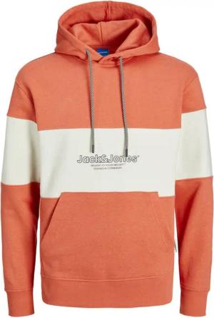 Jack & Jones Hoodie JORLAKEWOOD aus