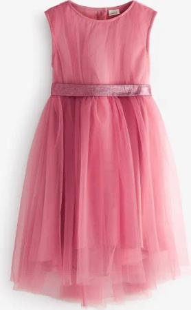Next Partykleid Partykleid aus Tüll (1-tlg)