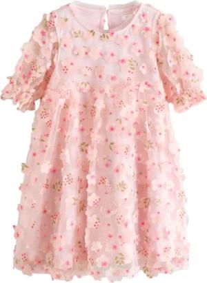 Next Partykleid Geblümtes Mesh-Partykleid (1-tlg)