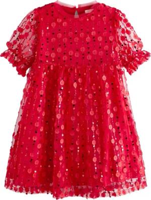 Next Partykleid Geblümtes Mesh-Partykleid (1-tlg)