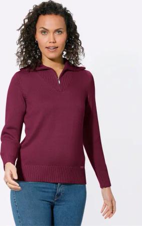 Witt Strickpullover Troyer