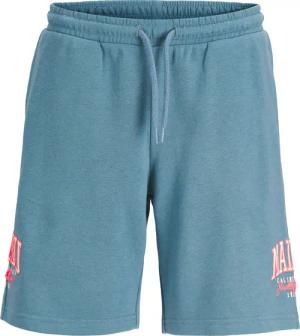 Jack & Jones Junior Sweatshorts JPSTKANE