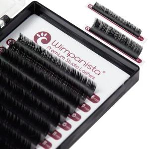 Wimpanista Einzelwimpern Volumenwimpern C Curl 0.05mm,