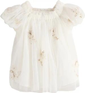 Next Tüllkleid Meshkleid, Schmetterling (1-tlg)