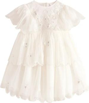 Next Volantkleid Kurzärmeliges Mesh-Kleid mit Stickereien
