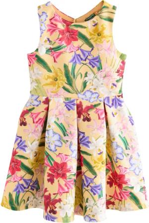 Next Partykleid Scuba-Kleid mit Cutout für