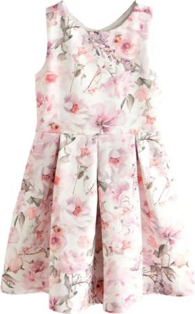 Next Partykleid Scuba-Kleid mit Cutout für