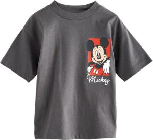 Next T-Shirt Mickey & Friends T-Shirt