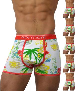 normani Retro Boxer 6 Stück Retro