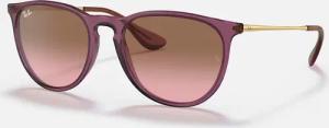 Ray-Ban Sonnenbrille Ray-Ban Erika RB4171 659114
