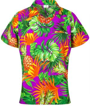 King Kameha Hawaiihemd Pineapple Leaves Funky