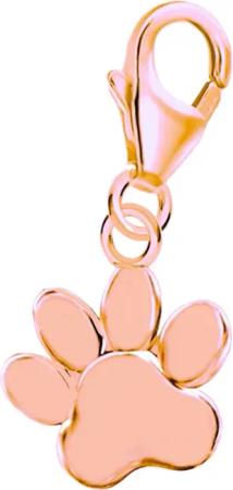 Goldene Hufeisen Charm-Einhänger Pfote Karabiner Charm