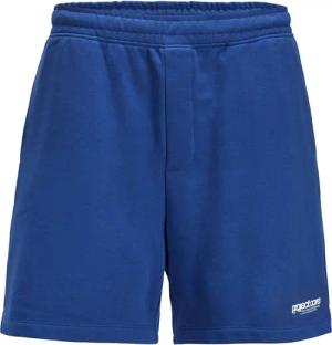 Jack & Jones Sweatshorts JPSTKARL Union