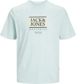 Jack & Jones Kurzarmshirt JORLAFAYETTE BOX