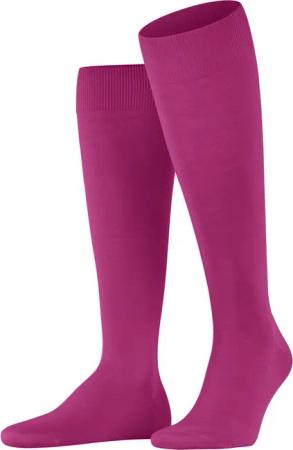 FALKE Kniestrümpfe ClimaWool (1-Paar) mit nachhaltigem