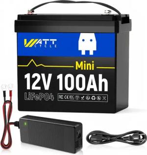 WattCycle WattCycle 12V 100Ah Mini-LiFePO4-Akku,integriertes 100A