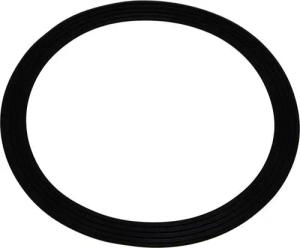 Dichtungsring Braun AS00000027 (7322310504) Dichtung für