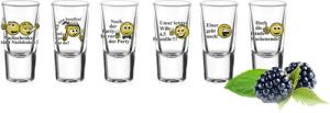 Sendez Schnapsglas 6 Schnapsgläser mit Sprüchen