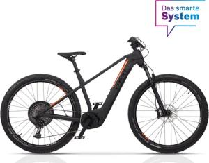 Airtracks E-Bike Mountainbike 29 Zoll Herren
