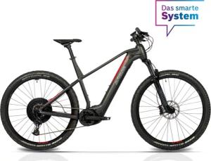 Airtracks E-Bike Mountainbike 29" E-Bike Herren