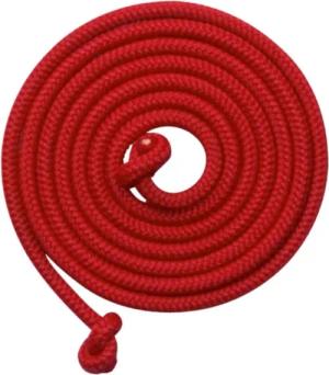 Gollnest & Kiesel Springseil Schwingseil rot