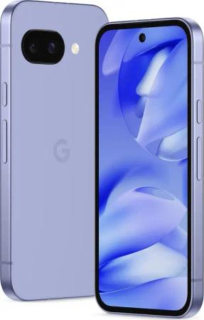 Google Google Pixel 9 256GB Handy
