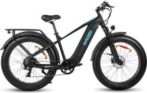 DOTMALL E-Bike Cityrad HAOQl Eagle step