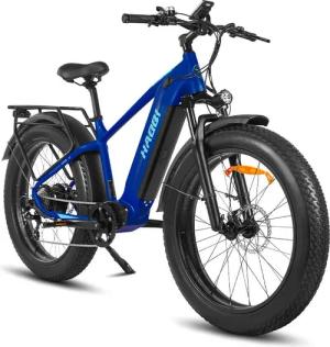DOTMALL E-Bike Cityrad HAOQl Eagle step