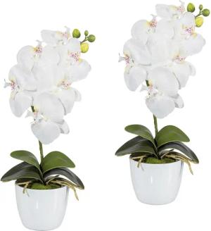 Kunstpflanze Orchidee Phalaenopsis Orchidee, Creativ green,