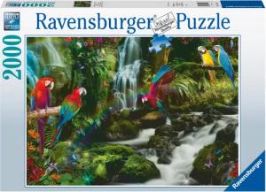 Ravensburger Puzzle Bunte Papageien im Dschungel,
