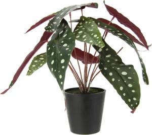 Kunstpflanze Strauchbegonie, I.GE.A., Höhe 26 cm,