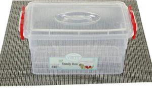 Dekonaz Aufbewahrungsbox Kunststoff-Aufbewahrungsbox 2,7 Liter (20