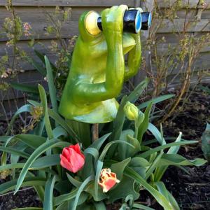 Online-Fuchs Gartenfigur Deko Figuren Frosch mit