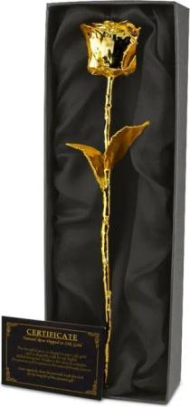 Mikamax Dekofigur Ewige goldene Rose 24