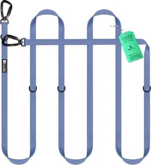 Bluzelle Führleine, Starke PVC Leine, 2