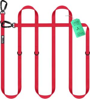 Bluzelle Führleine, Starke PVC Leine, 2