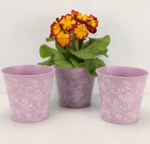 Online-Fuchs Blumentopf 3er Set Blumentöpfe aus