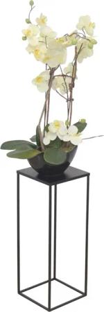 moebel-direkt-online Blumentisch Iris (In drei Farben