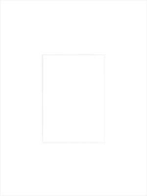 nielsen Bilderrahmen Passepartout Premium 2,5 mm,