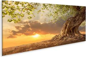 islandburner Leinwandbild Bild auf Leinwand Schöner