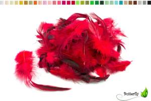 Creativery Bastelnaturmaterial, Hahnenfedern 10-15cm (ca. 50-55