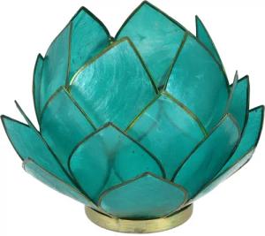 Guru-Shop Windlicht Lotus Teelicht Muschel 14*10