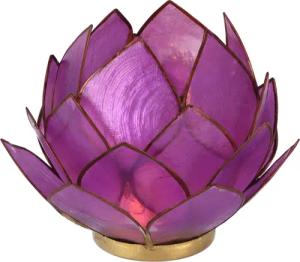 Guru-Shop Windlicht Lotus Teelicht Muschel 14*10