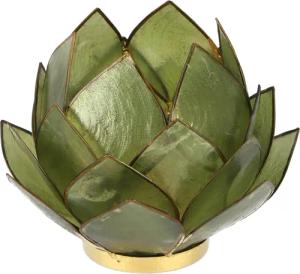Guru-Shop Windlicht Lotus Teelicht Muschel 14*10