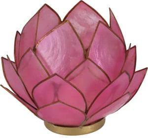 Guru-Shop Windlicht Lotus Teelicht Muschel 14*10