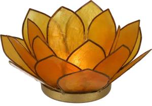 Guru-Shop Windlicht Lotus Teelicht Muschel 14*6