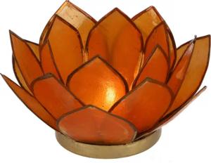 Guru-Shop Windlicht Lotus Teelicht Muschel 14*6