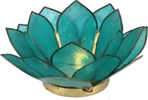 Guru-Shop Windlicht Lotus Teelicht Muschel 14*6